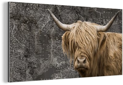 Aluminium schilderij 160x80 cm - Wanddecoratie metaal - Schotse hooglander - Wereldkaart - Dieren - Metalen muurdecoratie woonkamer - Decoratie industrieel - Foto op dibond - Industriële accessoires slaapkamer