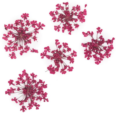 MollyLac Fuchsia Serie - Natuurlijke Nageldecoraties - 5 Stuks