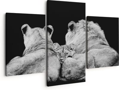 Artaza Canvas Schilderij Drieluik Leeuwen Familie - Leeuw - Zwart Wit - 150x120 - Groot - Foto Op Canvas - Canvas Print