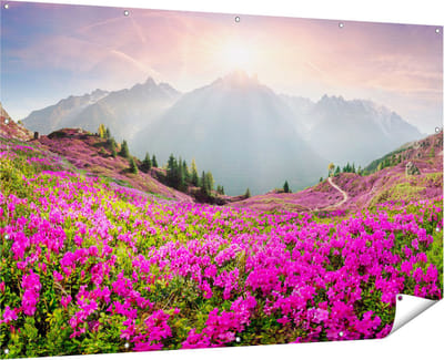 Gards Tuinposter Rhododendron Bloemenveld in de Alpen - 180x120 cm - Tuindoek - Tuindecoratie - Wanddecoratie buiten - Tuinschilderij