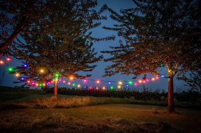 HappyLights lichtsnoer buiten [Outdoor] Mix - 40 LED's - 20m