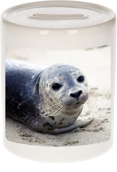 Dieren zeehond foto spaarpot 9 cm jongens en meisjes - Cadeau spaarpotten zeehonden liefhebber
