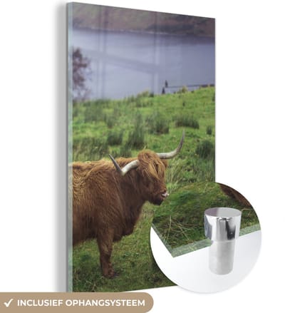 MuchoWow® Glasschilderij 120x180 cm - Schilderij acrylglas - Schotse Hooglander - Gras - Water -Dieren - Foto op glas - Schilderijen