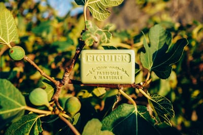 4x Savon de Marseille Zeep Figue (Vijg) – 125g – Met Karitéboter – Plantaardig & Handgemaakt – Vegan – Zeepengeurboetiek