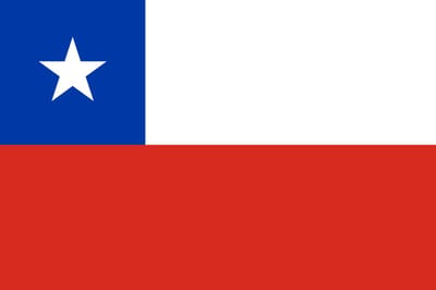 Vlag Chili 50x75cm