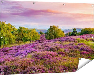 Gards Tuinposter Paarse Weide - 120x80 cm - Tuindoek - Tuindecoratie - Wanddecoratie buiten - Tuinschilderij