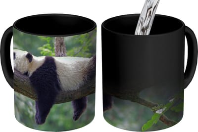 Magische Mok - Foto op Warmte Mokken - Koffiemok - Panda - Boom - Dieren - Natuur - Magic Mok - Beker - 350 ML - Theemok