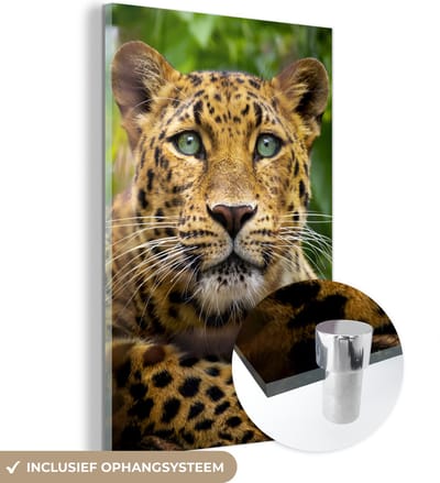 MuchoWow® Glasschilderij 40x60 cm - Schilderij acrylglas - Panter - Jungle - Groen - Foto op glas - Schilderijen