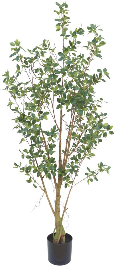 Ficus Kunstplant 180cm | Grote kunstplant voor binnen | Kunst Ficus 180cm | Nep Ficus | Kunstboom 180cm