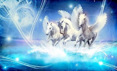 Winged Horse Pegasus Blue Photo Wallcovering