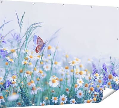 Gards Tuinposter Witte Kamille Bloemen met een Vlinder - 160x120 cm - Tuindoek - Tuindecoratie - Wanddecoratie buiten - Tuinschilderij