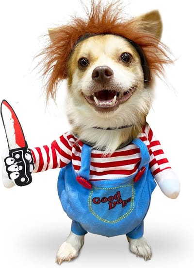 Hondenkostuum - Kleding Voor Honden - Kat Kleding - Grappig Pak Honden - Halloween Honden - Honden Kostuum - Hondenmuts - Hondenoutfit - Halloween Hondenkleding - Accessoires - Honden Outfit - Dierenkleding - Maat M - Halloween/Feesten - Honden/Kat