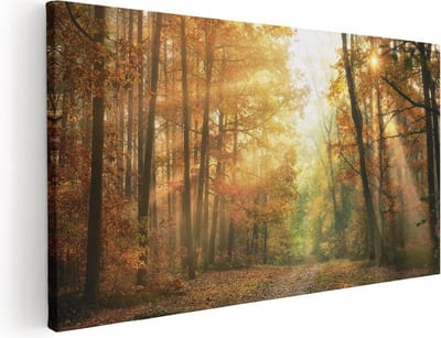 Artaza Canvas Schilderij Bos - 40x20 cm - Klein - Wanddecoratie Herfst - Muurdecoratie Landschap - Schilderijen Op Canvas Natuur