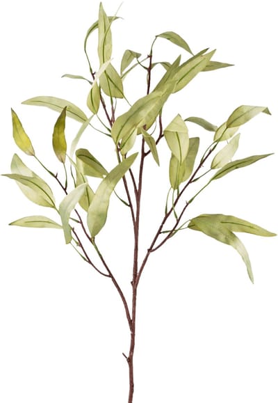 Easyplants | Kunsttak Eucalyptus Niphophila 108 cm groen | Zijde | Nepbloemen | groen | Onderhoudsvrij | Kant-en-klaar