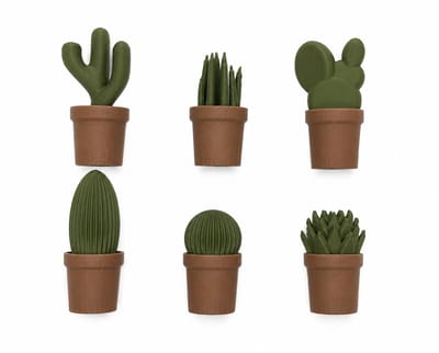 Koelkastmagneten Cactus – Set van 6 – Decoratieve Magneten voor Koelkast, Whiteboard & Metalen Oppervlakken