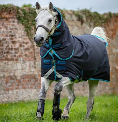 Horseware Amigo Bravo 12 Plus Pony Deken 130 Navy/Electric Blue