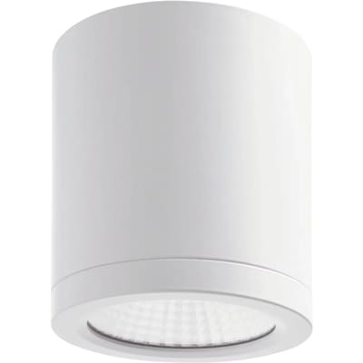 Luminaire opbouw Indeluz lighting Buis IP54 COB 24W 2420lm CRI80 4000K 50º
