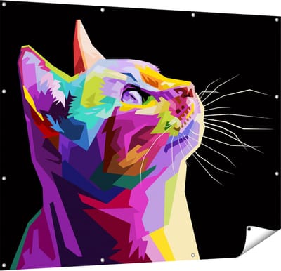 Gards Tuinposter Kleurrijke Kat Kijkt naar Boven - Abstract - 150x120 cm - Tuindoek - Tuindecoratie - Wanddecoratie buiten - Tuinschilderij