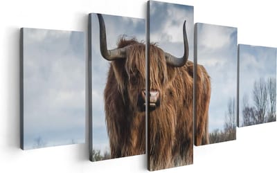 Artaza Canvas Schilderij Vijfluik Schotse Hooglander Koe - Kleur - 100x50 - Foto Op Canvas - Canvas Print