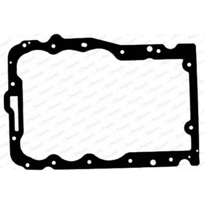 Pakking, Carter-PAYEN JH5037