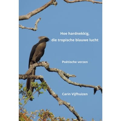 Hoe Hardnekkig, Die Tropische Blauwe Lucht - Carin Vijfhuizen