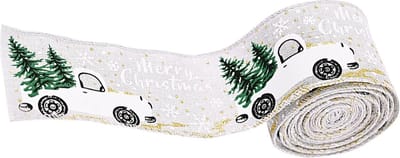 Gadgetpoint - Boomversiering - Versiering - Lint - Kerst - Kerstman - Kerstboom - Kerst - Kerstmis - Christmas - Xmas - 2,5m - Zilver