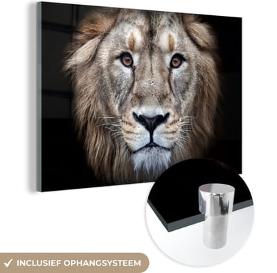 MuchoWow® Glasschilderij 60x40 cm - Schilderij acrylglas - Leeuw - Portret - Wild - Foto op glas - Schilderijen