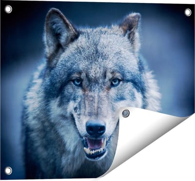 Gards Tuinposter Wolvenkop met Blauwe Ogen - Wolf - 50x40 cm - Tuindoek - Tuindecoratie - Wanddecoratie buiten - Tuinschilderij