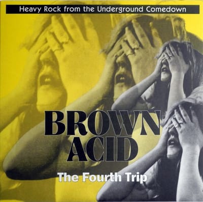 Various Artists - Brown Acid: The Fourth Trip (LP)