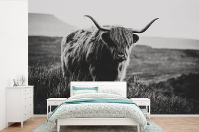 Behang - Fotobehang Schotse hooglander - Natuur - Koeien - Dieren - Zwart wit - Breedte 390 cm x hoogte 260 cm