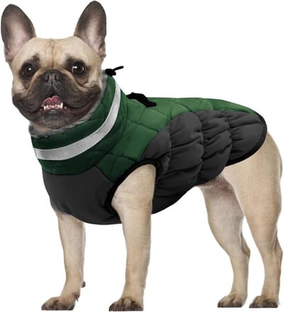 Hondenjas Winter - Hondenvest Warm - Buiten Wandelen - Geïntegreerd Harnas - Maat XL - Groen
