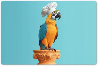Placemats 45x30 cm - Placemat kunststof - 1 stuk - Papegaai - Koksmuts - Grappig - Vogel - Borden onderleggers - Decoratie voor op tafel - Keuken tafeldecoratie accessoires - Vinyl onderlegger - Tafelversiering
