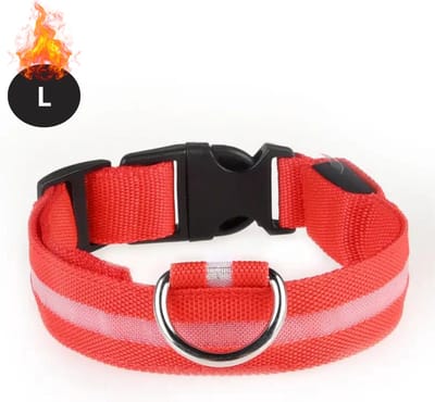 Bovista Lichtgevende Halsband - Verlichte Halsband - Lichtgevend - Hond - Kat - Lampje - Hondenhalsband Led - Rood - L