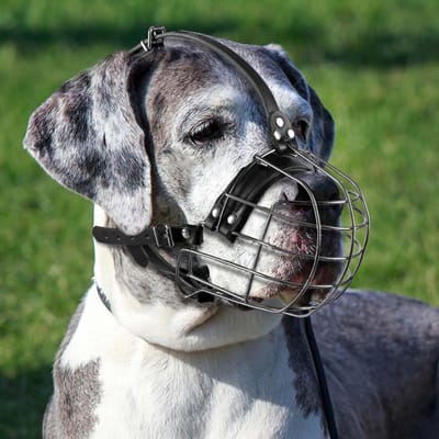 Hondenmuilkorf van Metaal met Leren Bandjes voor Grote Honden zoals Pitbull en Rottweiler, Ademend en Verstelbaar voor Comfort en Veiligheid