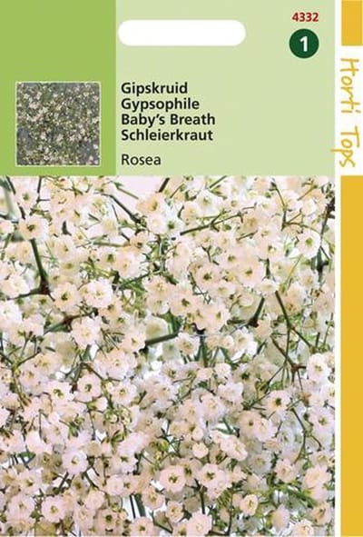 Hortitops Zaden - Gypsophila Elegans Diep Rose