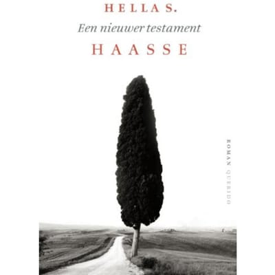 Een Nieuwer Testament - Hella S. Haasse