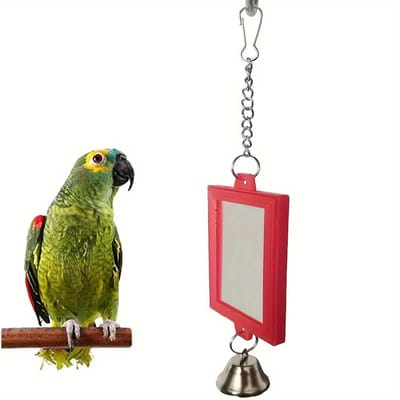 @ Lu’s Today® – Basic Pet Essentials – Vogelspiegel met Bel – Voor Zebravink t/m Parkiet – Speelgoed voor Binnenvogels