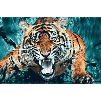 5D DIY Diamond Painting Een woeste tijger Borduren Kruissteek Strass Mozaïek Home Decor 20X30CM