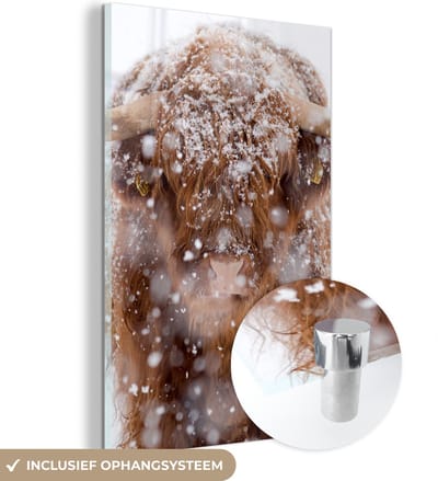 MuchoWow® Glasschilderij 120x180 cm - Schilderij acrylglas - Schotse Hooglander - Horens - Sneeuw - Foto op glas - Schilderijen
