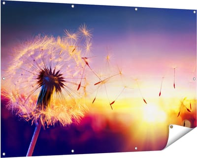 Gards Tuinposter Paardenbloem tijdens Zonsondergang - 150x100 cm - Tuindoek - Tuindecoratie - Wanddecoratie buiten - Tuinschilderij