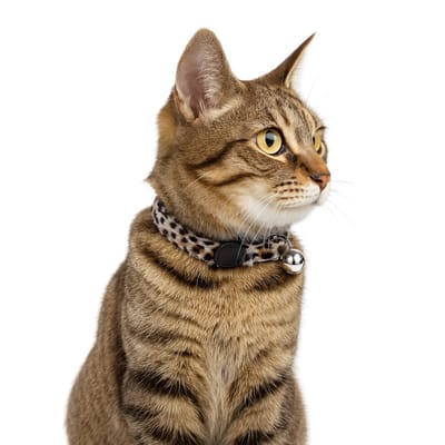 Nobleza Kattenhalsband - Kattenhalsbandje met Belletje - Dierenprint - Pluche - Wit