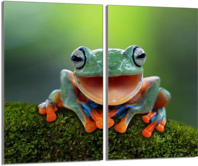 TMK ArtDeko - Serie Beschermplaat - Glas - 2x 30x52 - Keukendesign 'Żaba'
