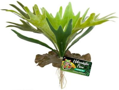 Zoo Med Staghorn Fern kunstplant 24 cm voor tropisch reptielenterrarium