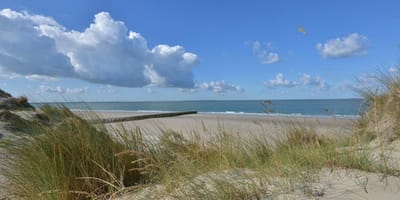 Fotobehang Burgh Haamstede duinen en strand 250 x 260 cm - € 175,--