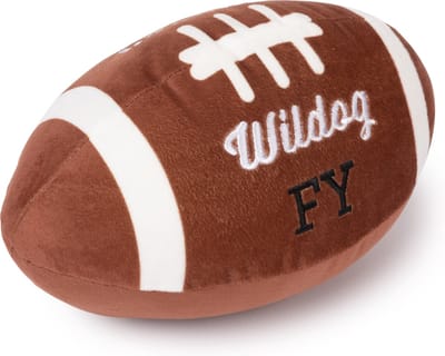 FuzzYard indoor Football