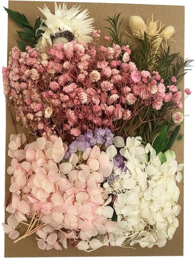 Allecto Plus - Gedroogde Bloemen voor Aromatherapie Kaars - Echte Gedroogde Geperste Bladbloemen voor Kaarsenhars Sieraden Hanger - Ambachtelijke Bloemdecoratie
