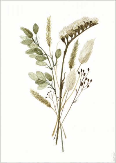 Days of Bloom Poster A3 Veldbloemen