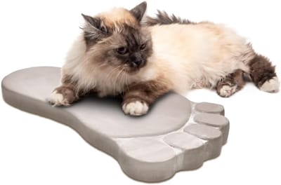 Stapstenen Set - Tuinplaten Beton - Pad Aanleggen - Duurzaam Beton - 35x20cm