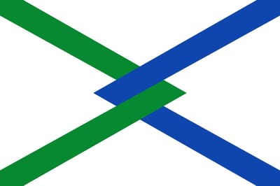 Vlag Hamme 100x150cm