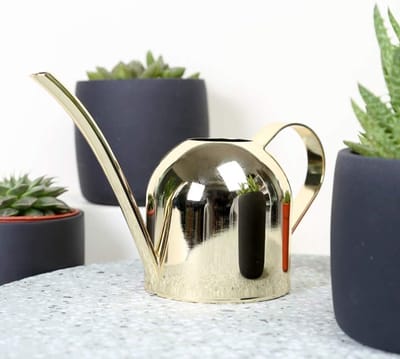 Roestvrijstalen gieter - Waterkannetje planten - Binnen en buiten - Ergonomische handgreep - 500 ml inhoud - Roségoud